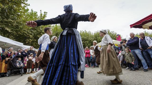 Fetedelafiguesmeurisse (1)