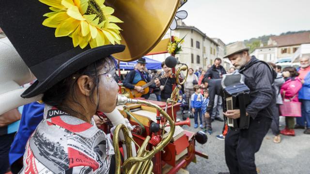 Fetedelafiguesmeurisse (5)