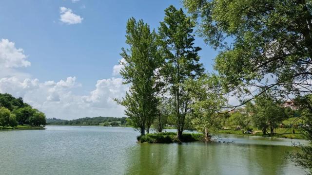 Instagram #carlabayle