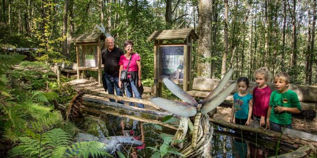 in the forest of Xploria