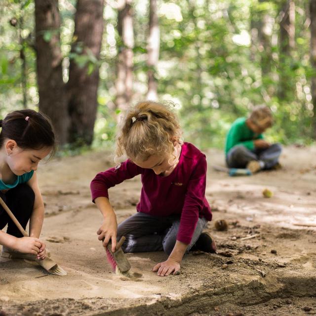 Excavation area at Xploria