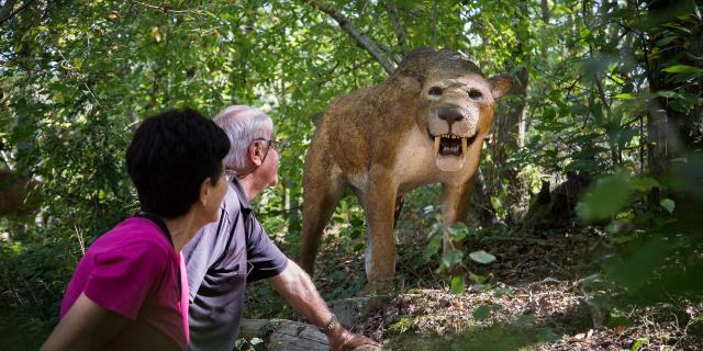 In the forest of Xploria