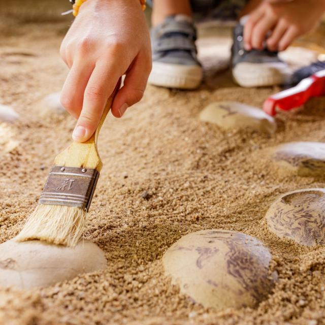 Excavation area at Xploria