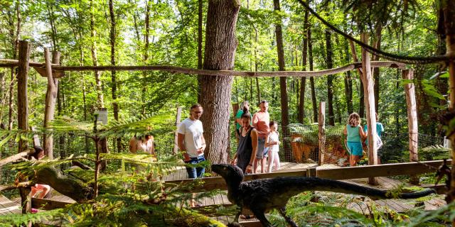 Xploria, the forest that explores time