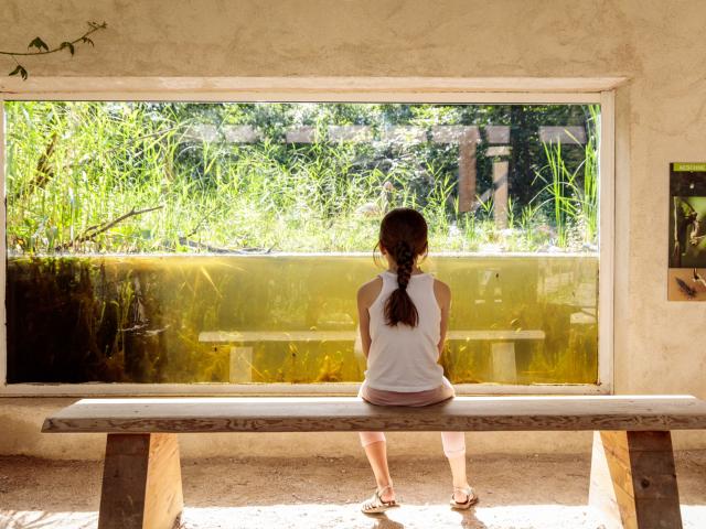 Xploria educational pond