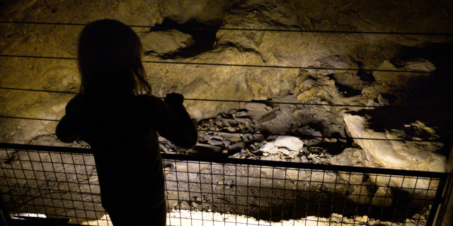 observation d'un gisement en place