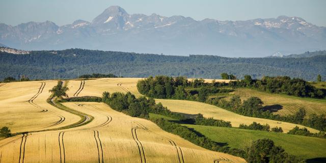 2017 Carla@smeurisse 17web