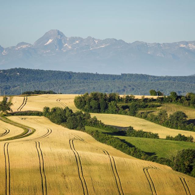 2017 Carla@smeurisse 17web