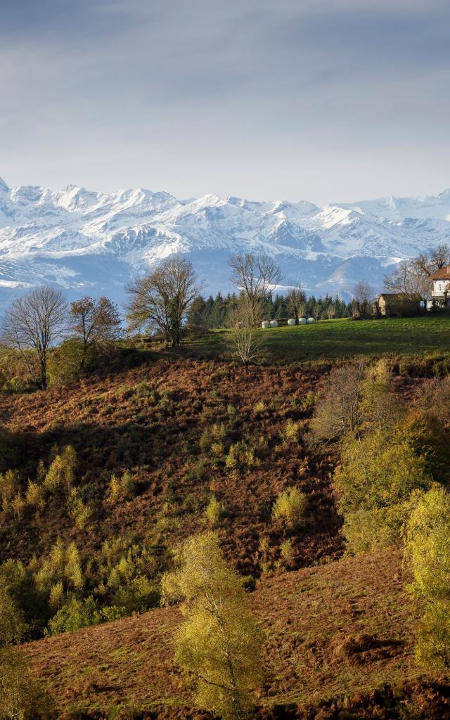 2017 Paysages@stephane Meurisse 37web