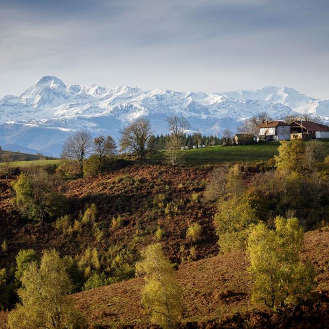 2017 Paysages@stephane Meurisse 37web