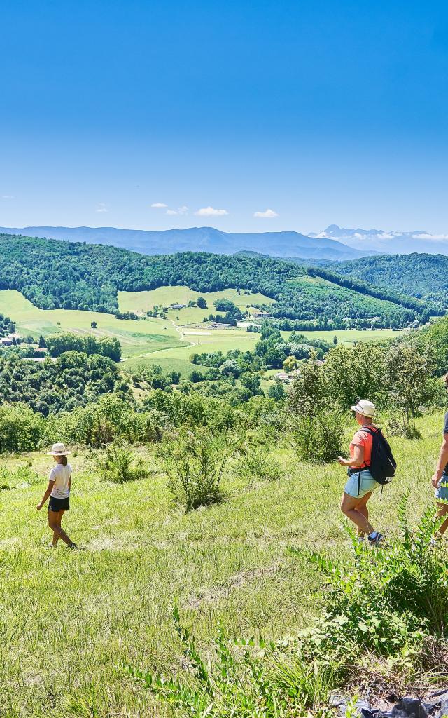 Ivan Olivier Adt09 0010932 Md