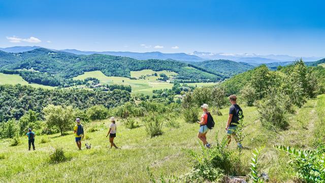 Ivan Olivier Adt09 0010932 Md