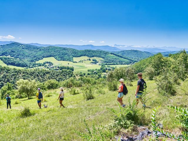 Ivan Olivier Adt09 0010932 Md