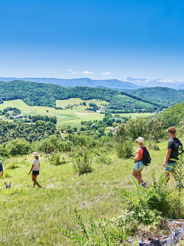 Ivan Olivier Adt09 0010932 Md