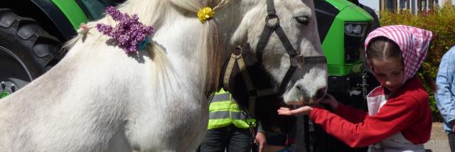Foire Agricole du Mas d'Azil