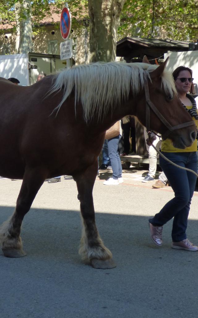 Foire Agricole du Mas d'Azil
