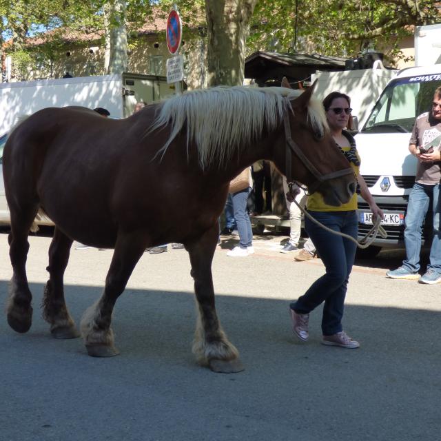 Foire Agricole du Mas d'Azil