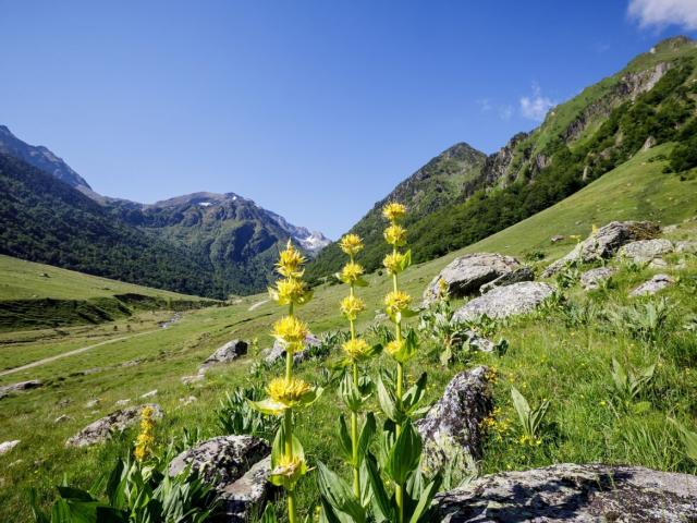 Pyrenees Ariegeoises