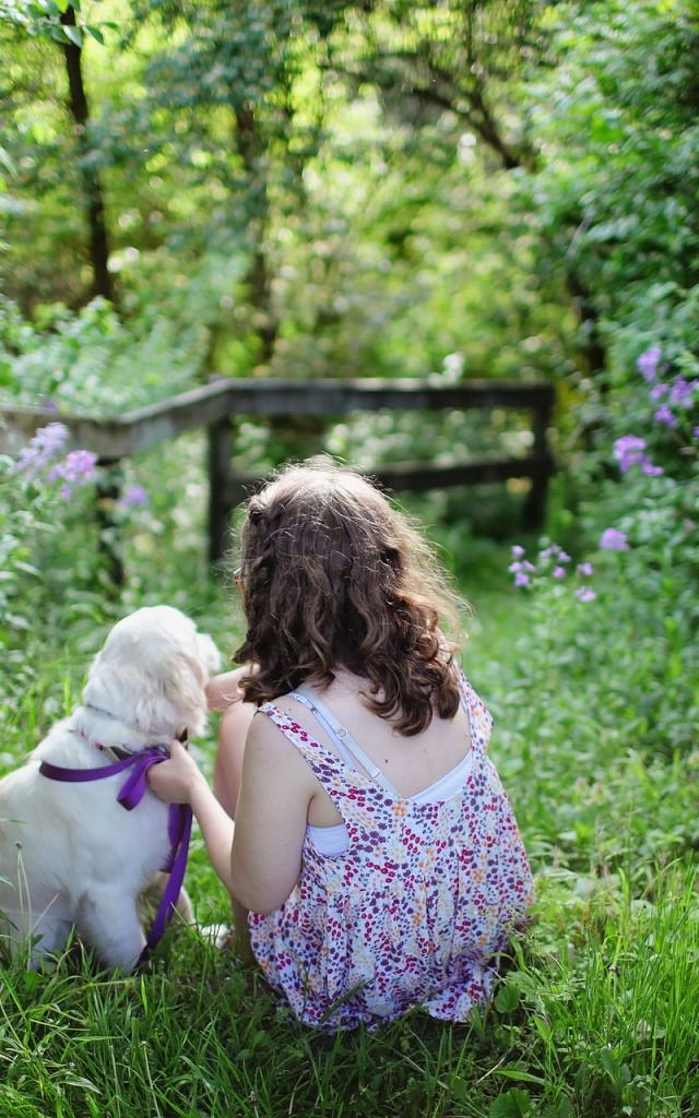 Balade Avec Le Chien