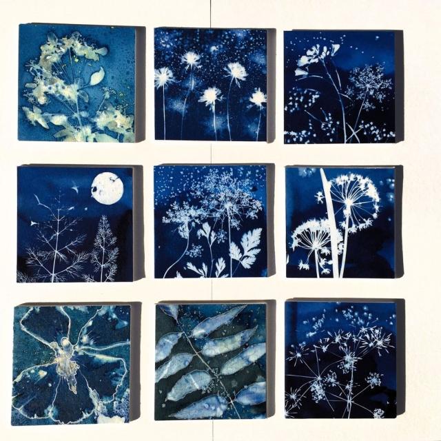 Instagram #carlabaylecitedesarts