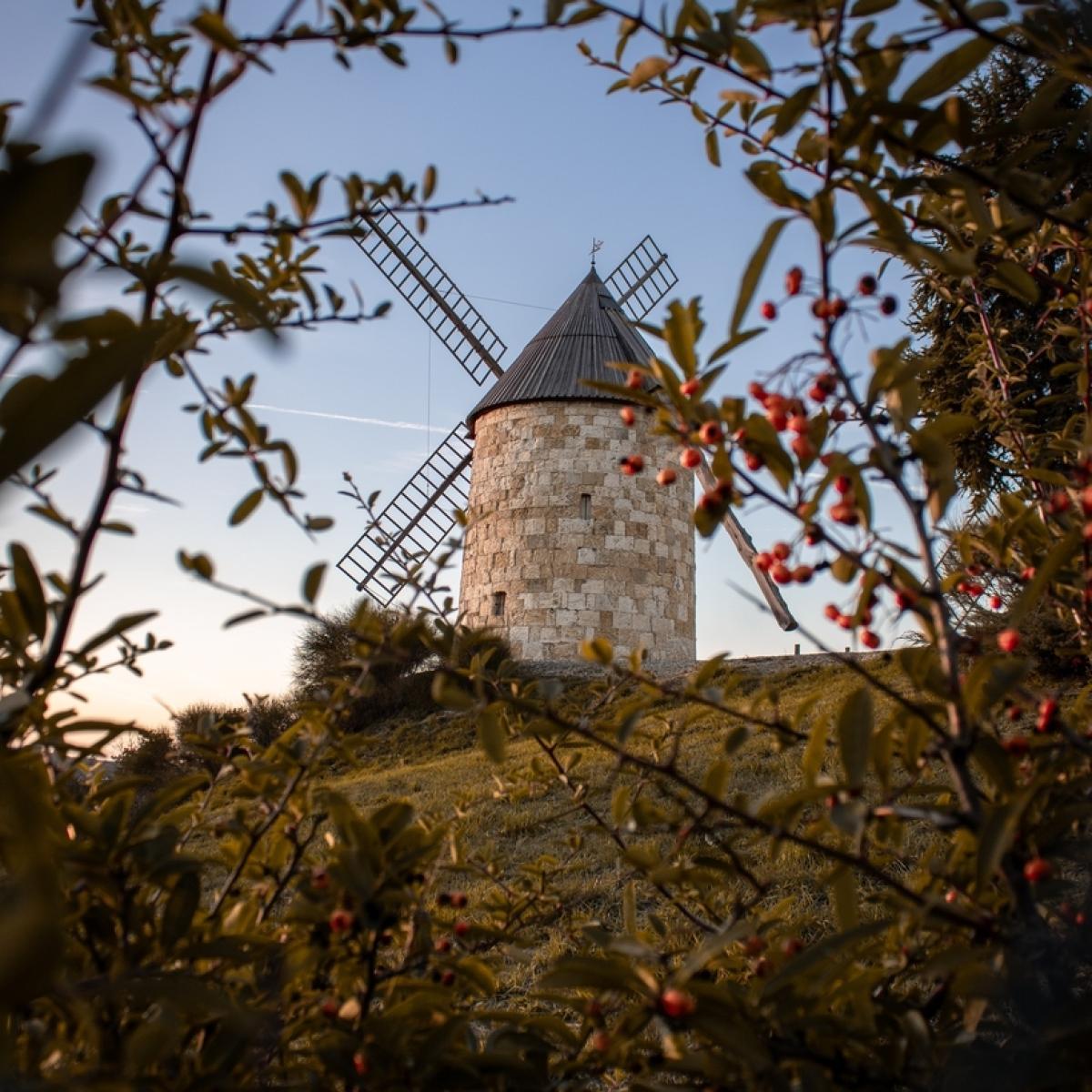 Lézat s/ Lèze, pittoresque et captivante | Office de tourisme des ...