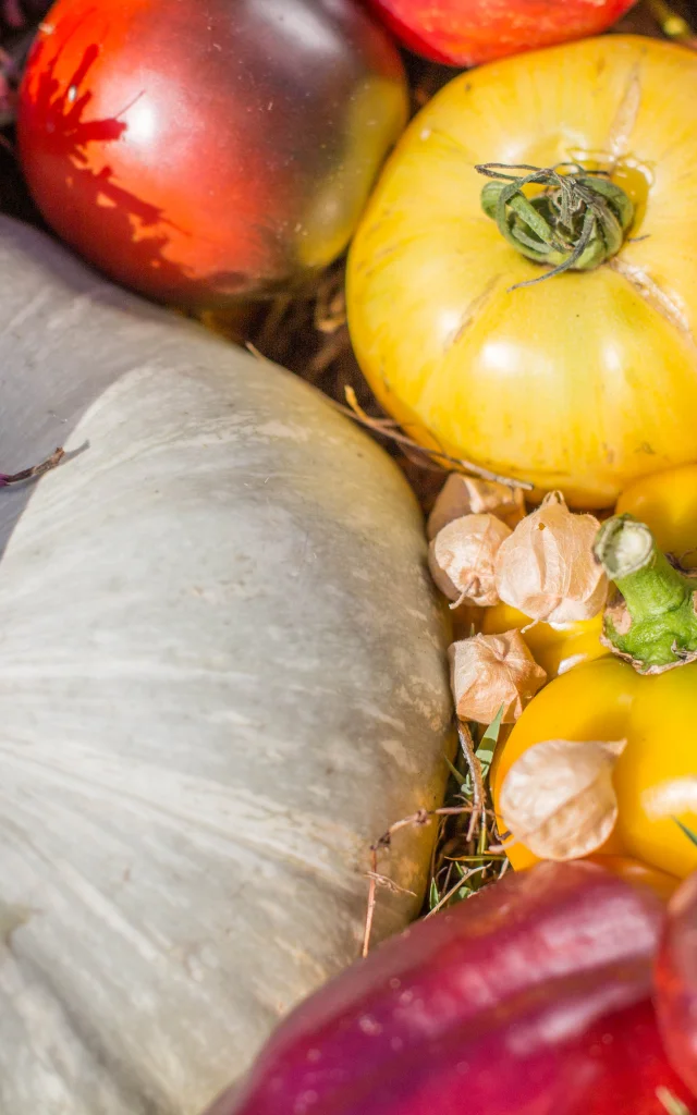 Légumes de Kokopelli