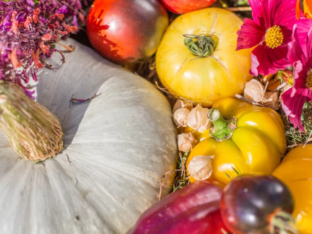 Légumes de Kokopelli