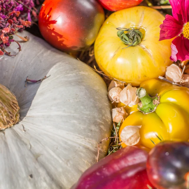 Légumes de Kokopelli