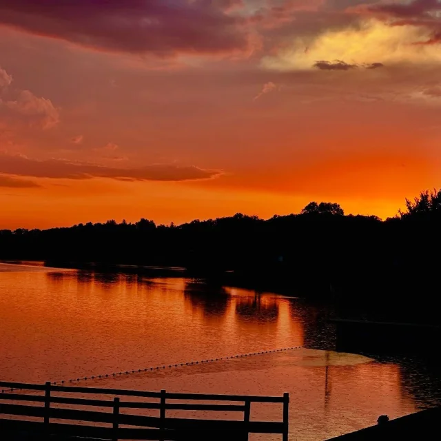 Instagram #carlabayle