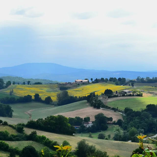 Instagram #carlabayle