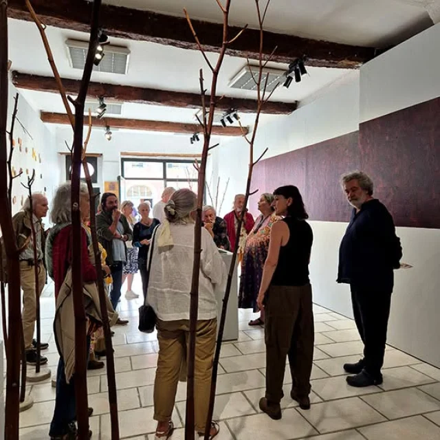 Instagram #carlabayle